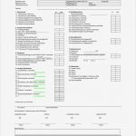 Konformitätserklärung Vorlage Pdf Bewundernswert Wunderbar Konformitätserklärung Vorlage Bilder Entry