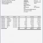 Konformitätserklärung Vorlage Pdf Luxus Gemütlich Kontoauszug Vorlage Kostenlos Zeitgenössisch