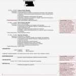 Kontovollmacht Vorlage Wunderbar Allgemeine Vollmacht Vordruck ord Idee Vollmacht Vorlage