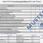 Konzept Gastronomie Vorlage Wunderbar Haccp Checklisten Für Küchen Haccp Excel formular