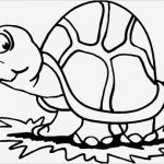 Kostenlose Homepage Vorlagen Einzigartig Kirstins Homepage Basteln Windowcolor