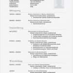 Kostenlose Lebenslauf Vorlage Download Erstaunlich Über 1 000 Ideen Zu „vorlagen Lebenslauf Auf Pinterest