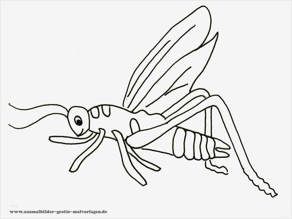 Kostenlose Vorlagen Wunderbar Ausmalbilder Tiere Kostenlose Malvorlagen