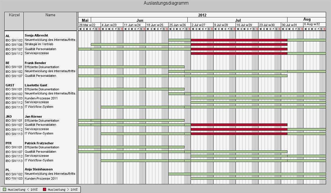 netproject Ganzheitliches Projektmanagement