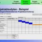Kostenplan Projektmanagement Vorlage Genial Beste Arbeitspaket Vorlage Zeitgenössisch Beispiel