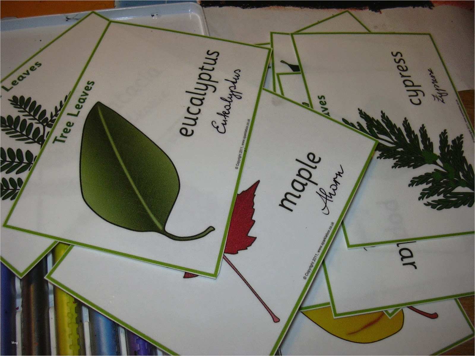 Kratzbilder Vorlagen Luxus Die Fantastischen 5 Kratzbilder