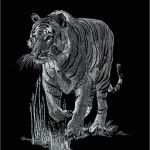 46 Fabelhaft Kratzbilder Vorlagen Bilder 51 Kratzbilder Vorlagen Schön Tiger Mammut Kratzbild Silber Ohne Rahmen Scraper