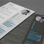 Kreative Lebenslauf Vorlagen Kostenlos Cool Kreative Bewerbungen Lebenslauf Muss Nicht Langweilig