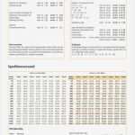 Kreditverträge Vorlagen Kostenlos Schönste Großartig Bestellformular Vorlage Excel Fotos Entry