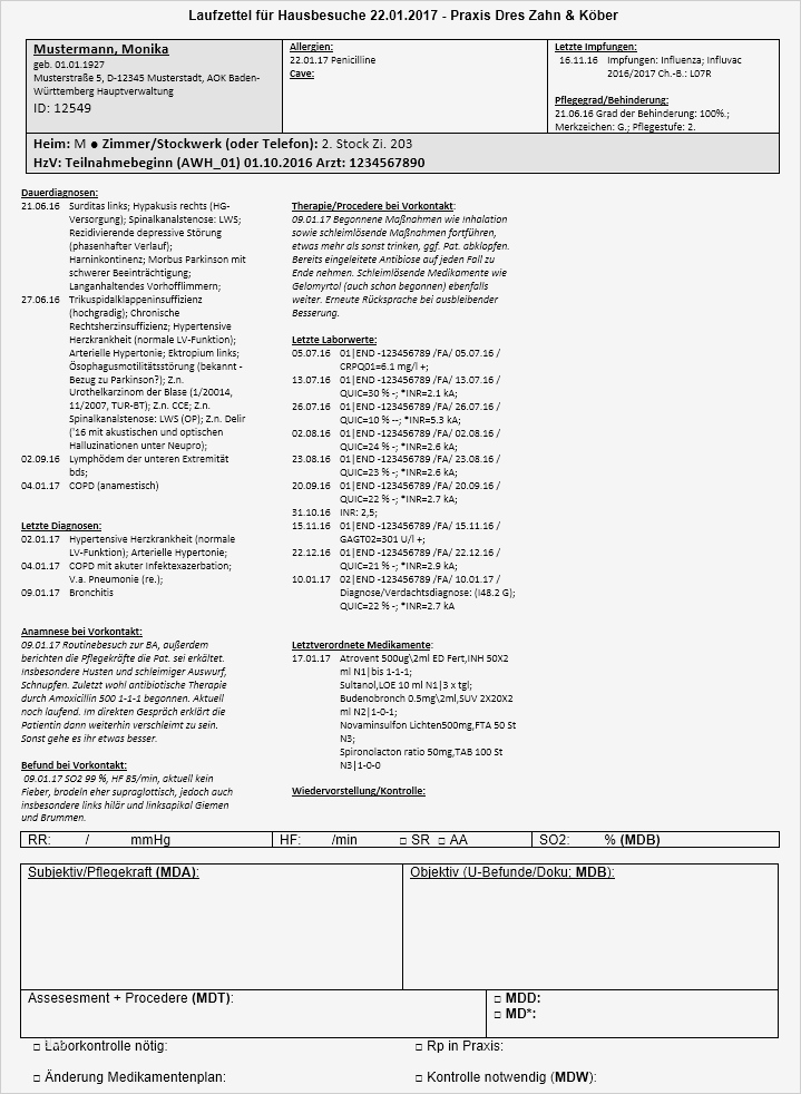 Kreuzstich Vorlagen Erstellen Angenehm atemberaubend Medikationsplan Vorlage Ideen Entry Level