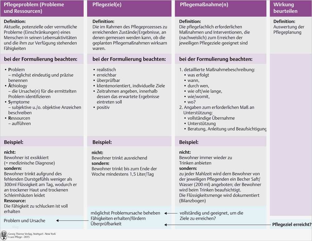 Krisenplan Vorlage Psychiatrie Elegant 10 Pflegeprozess Und Pflegeplanung Pflegepädagogik
