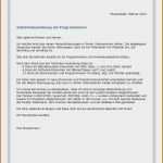 Kundendatenblatt Vorlage Excel Wunderbar Großartig software Fragebogen Vorlage Bilder Entry Level