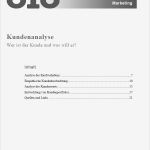 Kundenfeedback Vorlage Best Of Wunderbar Kundenanalyse Vorlage Ideen