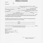 Kundenfeedback Vorlage Luxus I 134 Affidavit Design Templates