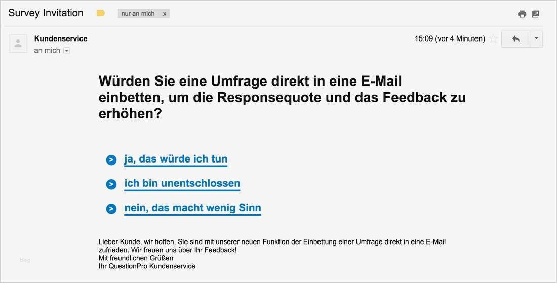 Kundenfeedback Vorlage Wunderbar Wunderbar Druckbare Umfrage Fotos Bilder Für Das