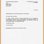 Kündigung Abo Vorlage Luxus 8 Stornierung Vorlage