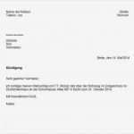 Kündigung Betreuungsvertrag Vorlage Fabelhaft Schön Betreuungsvereinbarung Vorlage Bilder