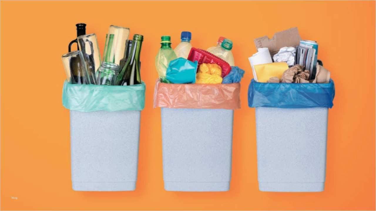 Kündigung Clever Fit Vorlage Wunderbar Clever Fit Zehlendorf Degewo Degewo