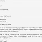 Kündigung Dsl Vertrag Vorlage Schön Kündigung Versicherung Vorlage Download Chip