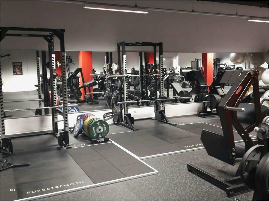 Kündigung Fitnessstudio Clever Fit Vorlage Beste Fitnessstudio In Wien Floridsdorf