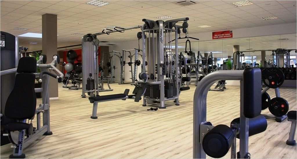 Kündigung Fitnessstudio Clever Fit Vorlage Genial Fitnessstudio In Oberursel