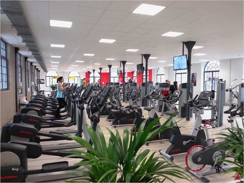 Kündigung Fitnessstudio Clever Fit Vorlage Gut Fitnessstudio In Albstadt