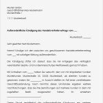 Kündigung Handelsvertretervertrag Vorlage Gut Verträge Und Muster Für Handelsvertreter sofort Zum Download