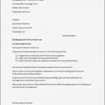 Kündigung Lebensversicherung Vorlage Beste 8 Besten Kündigungsschreiben Bilder Auf Pinterest