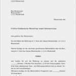 Kündigung Mietvertrag Vorlage Word Erstaunlich Erfreut Kostenlose Mietvertrag Vorlage Bilder Bilder Für