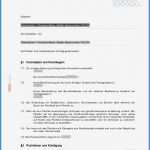 Kündigung Stromanbieter Vorlage Fabelhaft Großartig Kündigungsvorlage Fotos Entry Level Resume