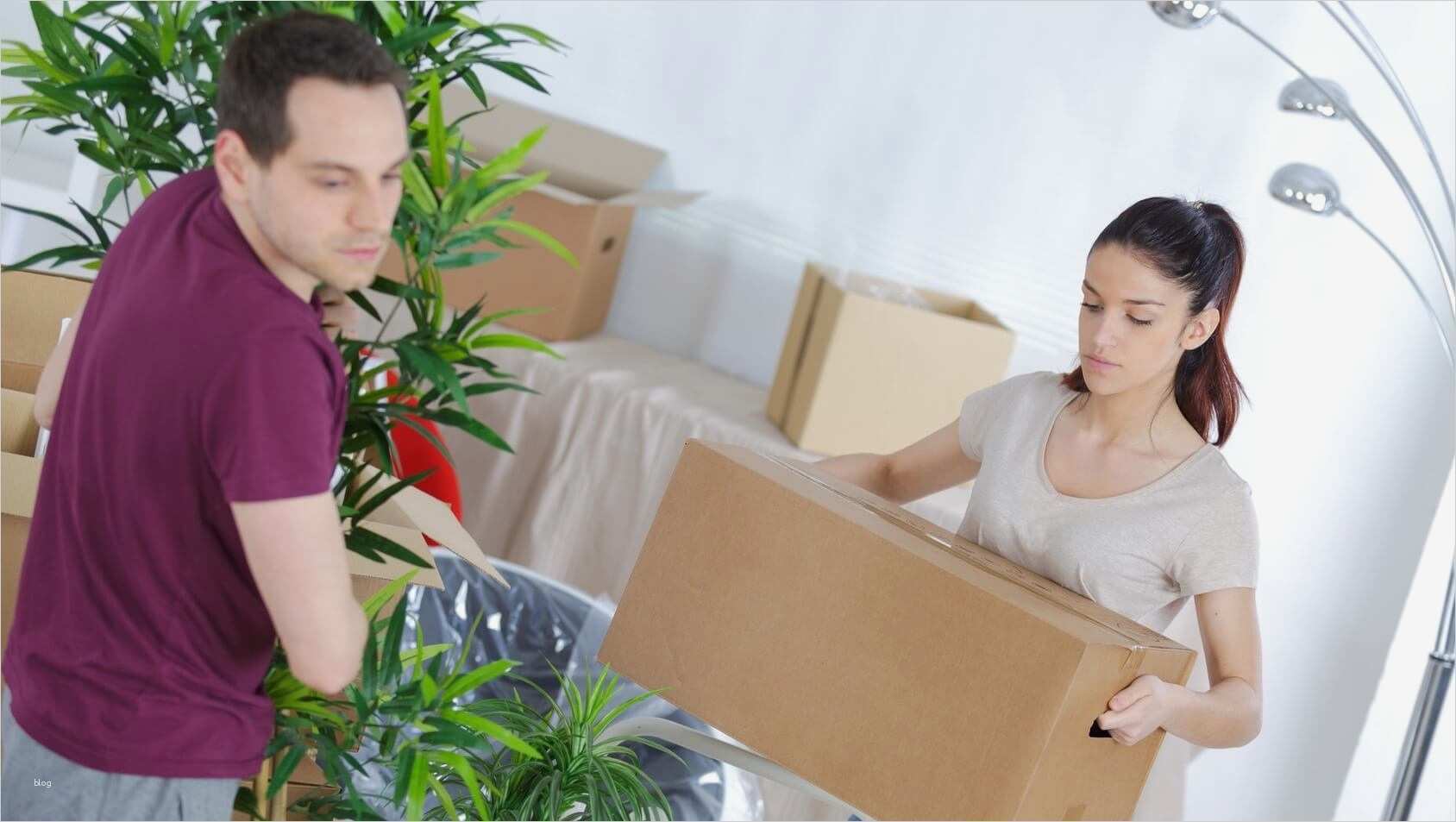 Kündigung Vodafone Kabel Deutschland Vorlage Angenehm Vodafone Kabel Deutschland Urteil Update Zum