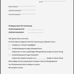 Kündigungsschreiben Kfz Versicherung Vorlage Word Genial Kündigungsschreiben An Autoversicherung Was Muss Rein