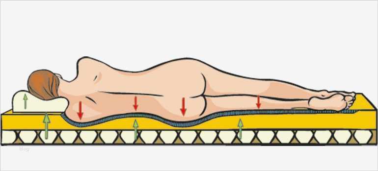 Lagerungsplan Dekubitus Vorlage Erstaunlich Dekubitus Lagerung Und Lagerungshilfsmittel