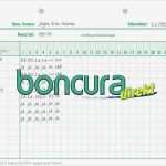 Lagerungsplan Dekubitus Vorlage Hübsch Lagerungsplan