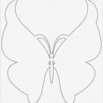 Landlust Engel Vorlage Flügel Erstaunlich Die Besten 25 Engelflügel Vorlage Ideen Auf Pinterest