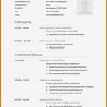 Langzeitlieferantenerklärung Vorlage 2017 Best Of Langzeitlieferantenerklärung Vorlage 2018 Erstaunliche 7