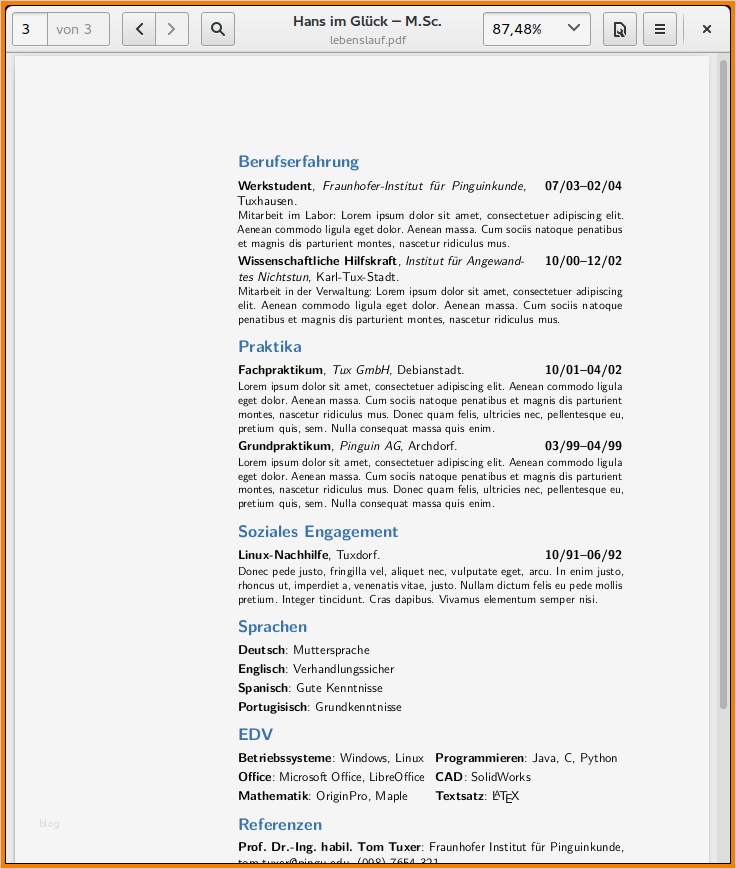 Latex Lebenslauf Vorlage Angenehm 5 Latex Lebenslauf Vorlage