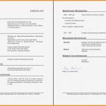 Latex Lebenslauf Vorlage Hübsch 5 Latex Lebenslauf Vorlage