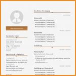 Lebenslauf 2017 Vorlage Genial 9 Lebenslauf 2017