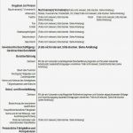 Lebenslauf 50 Vorlage Erstaunlich Europass Lebenslauf Download