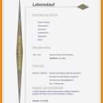 Lebenslauf 9 Klasse Vorlage Neu 13 Lebenslauf Klasse 9