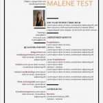 Lebenslauf 9 Klasse Vorlage Wunderbar Lebenslauf Beispiel Mit Stichworten Zu Kompetenzen Cv