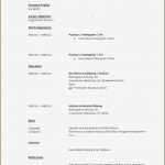 Lebenslauf Auf Englisch Vorlage Gut 18 Cv Englisch Vorlage Vorlagen123 Vorlagen123