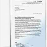 Lebenslauf Auf Englisch Vorlage Hübsch Fein Beispiel Für Eine College Bewerbungs Vorlage Galerie