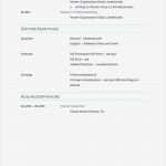 Lebenslauf Auf Englisch Vorlage Inspiration [grundschule Lehrer Lebenslauf Vorlage] 100 Images