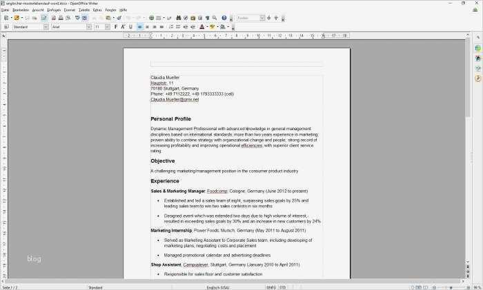 Lebenslauf Auf Englisch Vorlage Kostenlos Einzigartig Lebenslauf Englisch Download