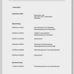 Lebenslauf Auf Englisch Vorlage Luxus tolle Lebenslauf Beispiele Lebenslauf Zeitgenössisch