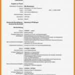 Lebenslauf Auf Englisch Vorlage Wunderbar 10 Lebenslauf Englisch