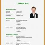 Lebenslauf Ausbildung Vorlage Wunderbar 11 Bewerbung Lebenslauf Muster