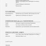 Lebenslauf Berufsanfänger Vorlage Beste Muster Lebenslauf Word Muster Lebenslauf Berufsanfänger